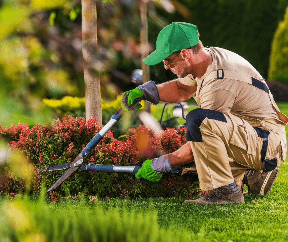 🌿 Czas na ogród! Wiosenne prace, które przygotują Twój zielony zakątek na sezon 🌱🌷